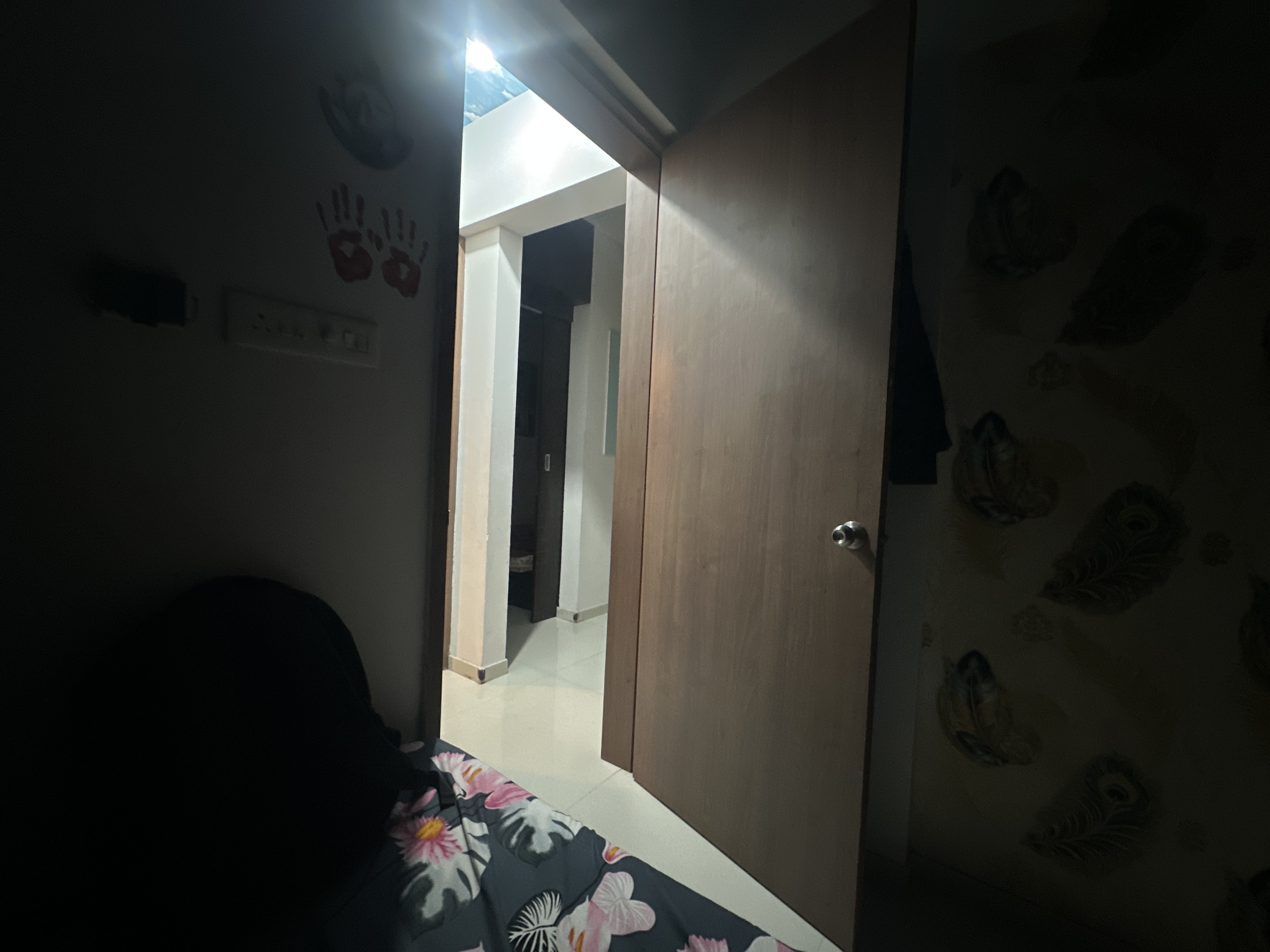 2 BHK For Sale in Nandini Belus